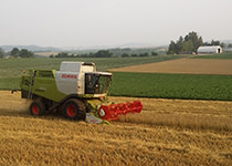 樅山農産の作業中、写真3