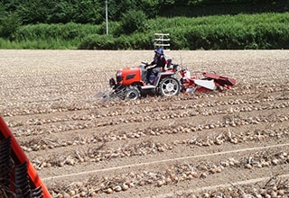 樅山農産の夏の様子　写真3